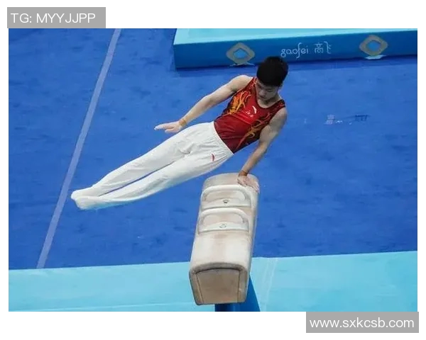 竞技体操比赛全程解析 技巧与力量的完美碰撞及运动员挑战极限的背后故事